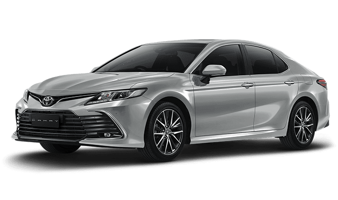 Silver Metallic (spot order*)