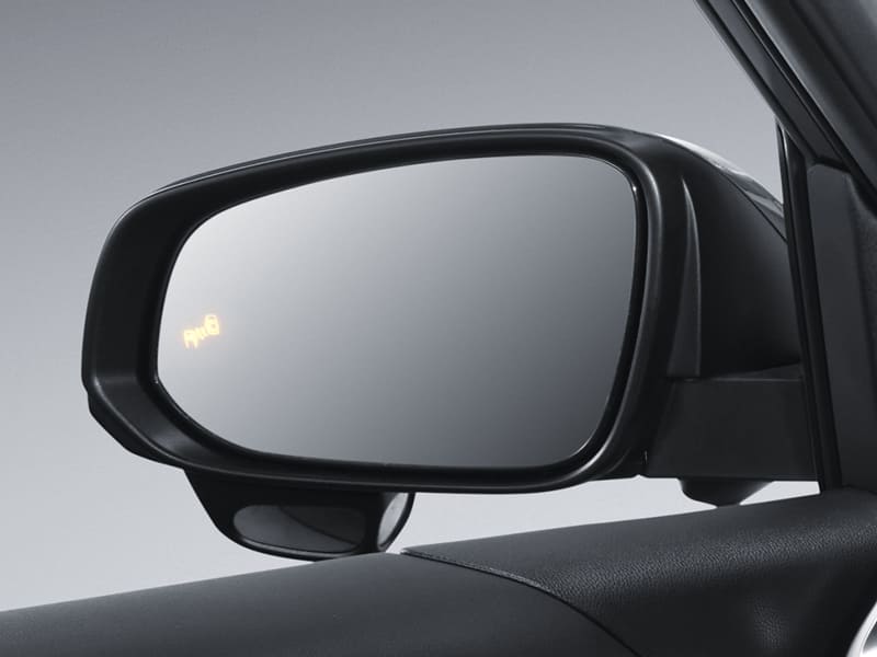 Blind Spot Monitoring (BSM)