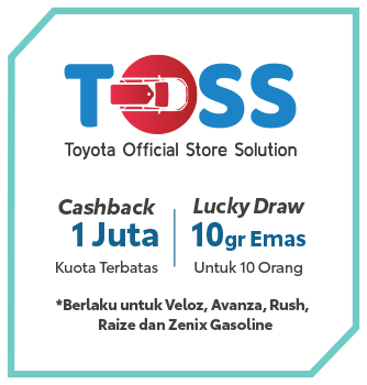 TOSS